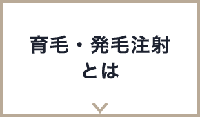 育毛・発毛注射とは